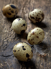 Image showing quail eggs