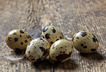 Image showing quail eggs