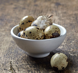 Image showing quail eggs