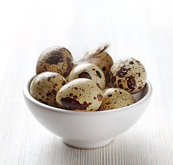 Image showing quail eggs