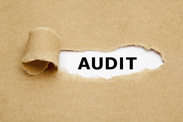 Image showing Audit Torn Paper Concept