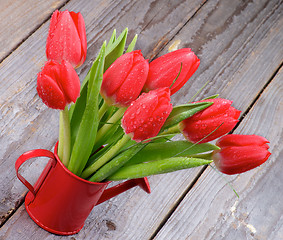 Image showing Spring Tulips