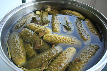 Image showing crispy salted cucumbers