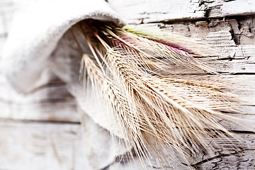 Image showing wheat ears 