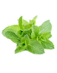 Image showing Peppermint