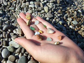 Image showing Multi-coloured pebble and glass on a female palm2