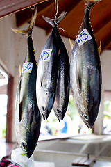 Image showing tuna fish at market