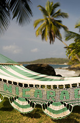 Image showing hammock with palm coconut trees on Caribbean Sea at Casa-Canada 