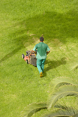 Image showing Man mowing grass