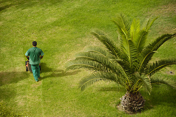 Image showing Man working in garden