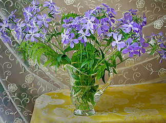 Image showing Blossoming violets in a crystal vase.