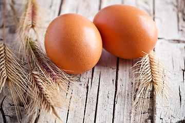 Image showing fresh eggs and wheat ears