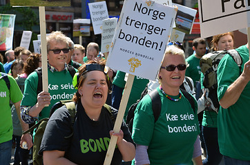 Image showing Norwegian farmers protesting