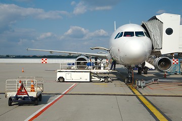 Image showing Airliner