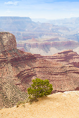 Image showing Grand Canyon