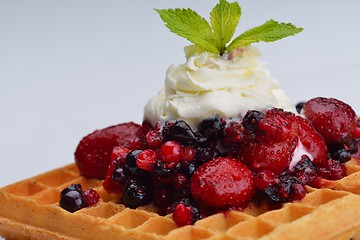 Image showing fruit wafel