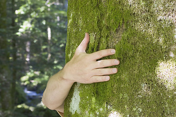 Image showing Tree hugging