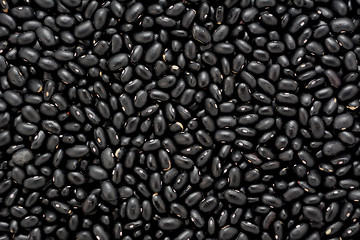 Image showing Black turtle beans