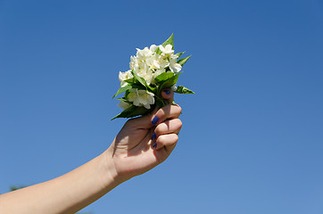 Image showing jasmine bouquet woman hand on blue sky background 