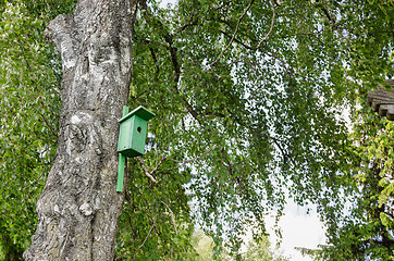 Image showing bird house nesting-box hang on birch tree trunk 