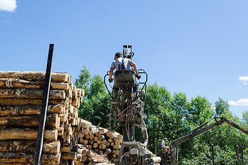 Image showing Man load felled trees logs with crane to trailer 