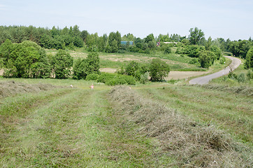 Image showing farmer peasant rake dry hay grass in rural field 