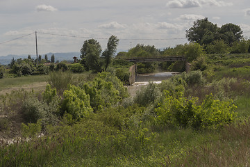 Image showing Senio river near Cotignola in Italian countryside