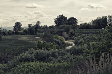 Image showing Senio river near Cotignola in Italian countryside