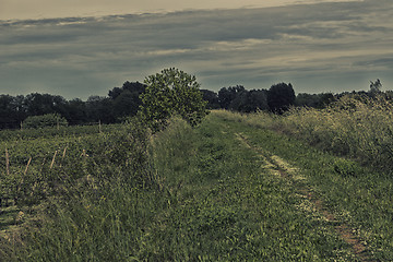 Image showing Walking road in the countryside 