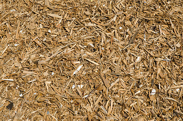 Image showing Woodchips background