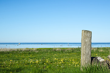 Image showing Weathered Pole