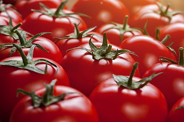 Image showing red tomatoes background