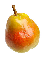 Image showing Pear 