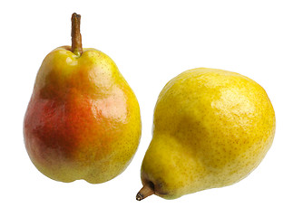 Image showing Two pears