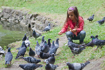 Image showing Little girl feeding pigeons