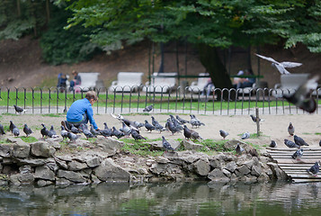 Image showing Little boy feeding pigeons