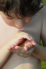 Image showing Boy and frog