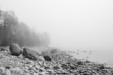Image showing Coast of Baltic sea in a fog