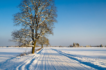 Image showing Winter landscape with road to a countryside