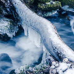 Image showing Frozen icicles on water flow