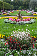 Image showing Beautiful flower bed in park