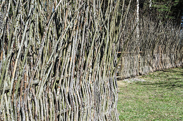 Image showing Fence from the weaved branches, a close up