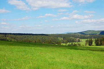 Image showing Field with forest