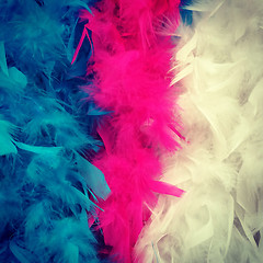 Image showing Colorful feather boa