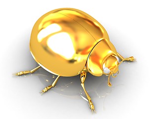 Image showing golden beetle 