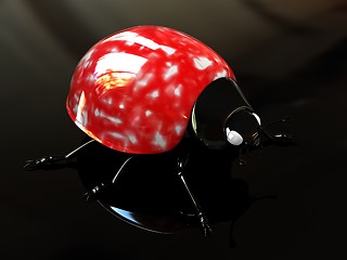 Image showing Ladybird 