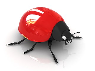 Image showing Ladybird 