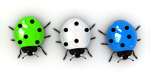 Image showing Ladybirds