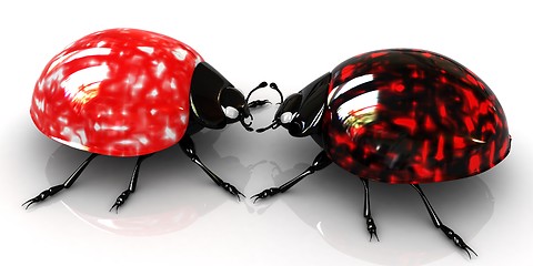 Image showing Ladybirds