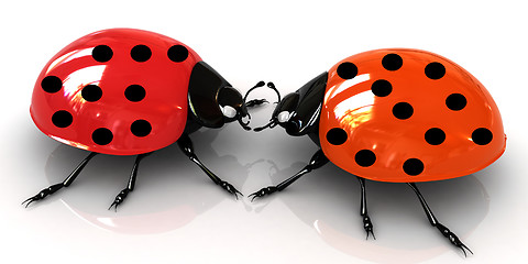 Image showing Ladybirds